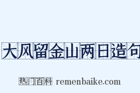 大风留金山两日造句是什么意思的图片